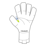 ENTREPIERNA DEL PULGAR 3D