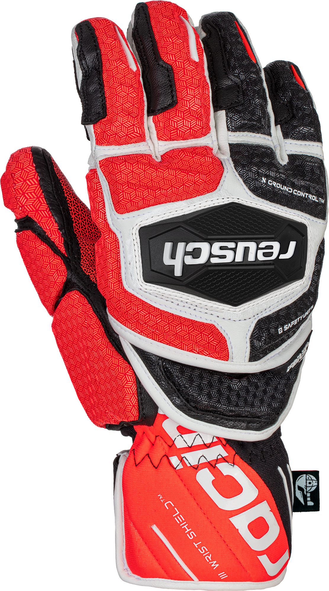 Reusch Worldcup Warrior GS