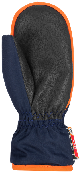 Reusch Ben Mitten 4685408 425 blue orange back.png