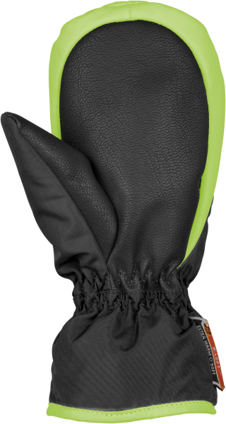 Reusch Ben Mitten 4685408 716 black green back.png