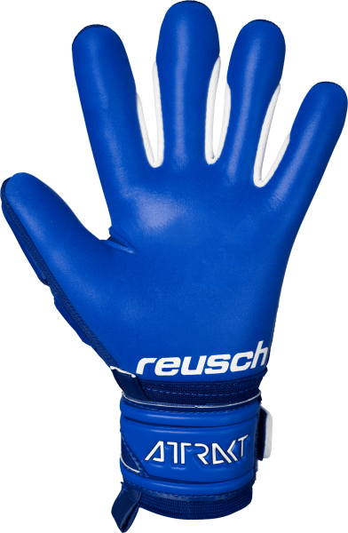 Reusch Attrakt Freegel Silver 5170235 4010 blue ba