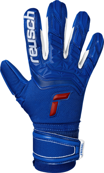 Reusch Attrakt Freegel Silver 5170235 4010 blue fr