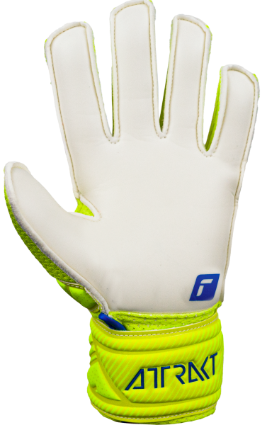 Reusch Attrakt Solid Junior 5272515 2001 white blu