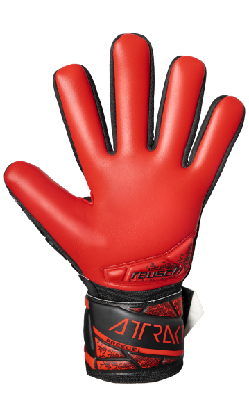 Reusch Attrakt Freegel Silver NC 5460244 7805 whit