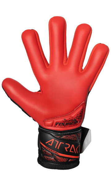 Reusch Attrakt Freegel Silver NC Junior 5462244 78