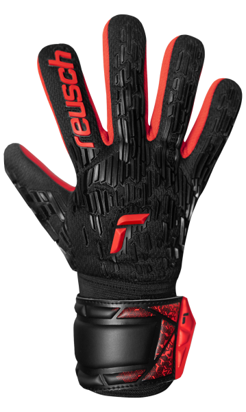 Reusch Attrakt Freegel Silver NC Junior 5462244 78