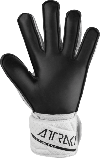 Reusch Attrakt Solid 5470016 1101 white black back