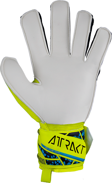 Reusch Attrakt Solid 5470515 2111 2111 back.png