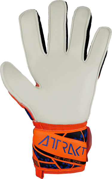 Reusch Attrakt Solid 5470515 2210 2210 back.png