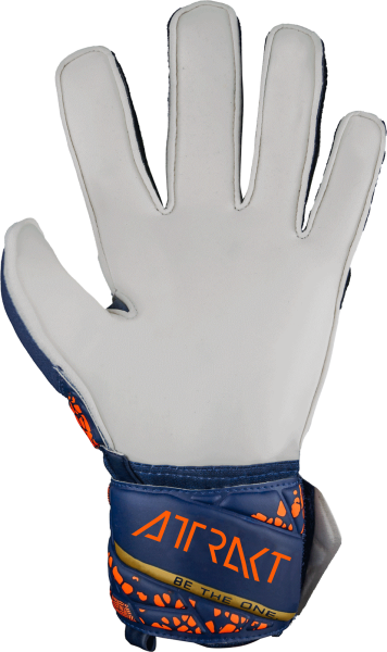 Reusch Attrakt Solid 5470515 4410 4410 back.png