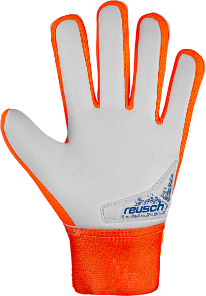 Reusch Attrakt Starter Grip 5470814 2210 2210 back