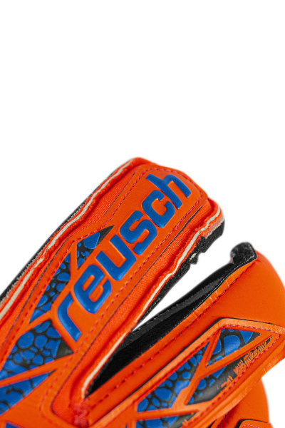 Reusch Attrakt Gold X Evolution GluePrint 5470975 