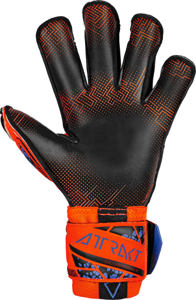 Reusch Attrakt Gold X Evolution GluePrint 5470975 
