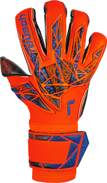 Reusch Attrakt Gold X Evolution GluePrint 5470975 