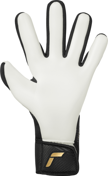Reusch Fastgrip Gold 5570100 7707 black back.png