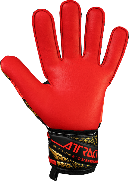 Reusch Attrakt Silver 5570215 7075 7075 back.png