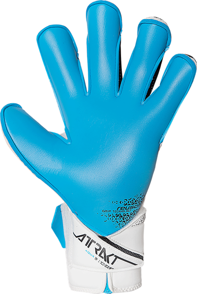 Reusch Attrakt Aqua Evolution 5570455 1126 white b