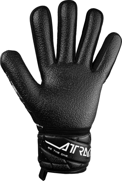 Reusch Attrakt Resist 5570615 7700 black back.png