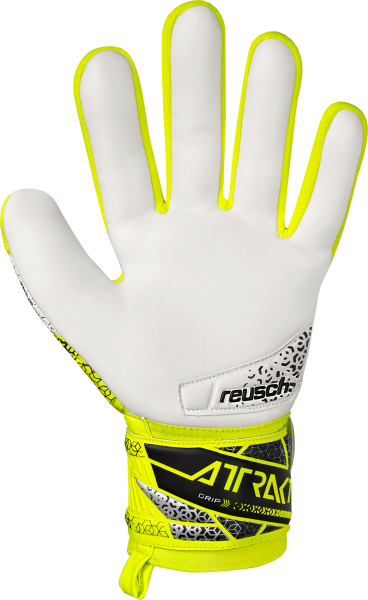 Reusch Attrakt Grip 5570815 2014 2014 back.png