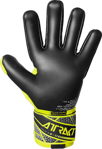 Reusch Attrakt Gold X NC 5570955 2025 2025 back.pn