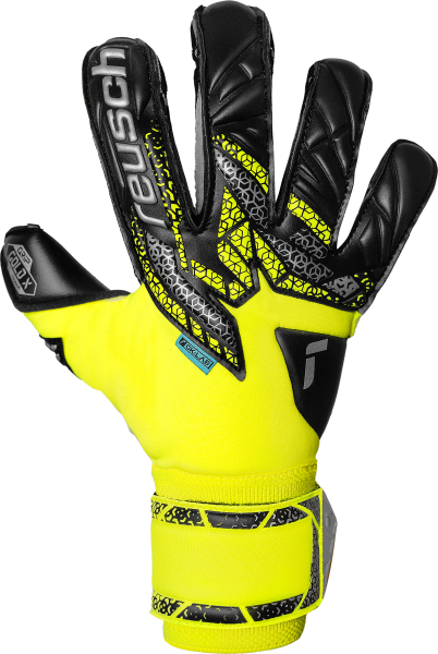 Reusch Attrakt Gold X Evolution 5570964 2025 2025 