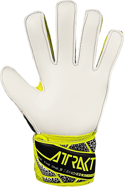 Reusch Attrakt Solid Junior 5572515 2014 2014 back