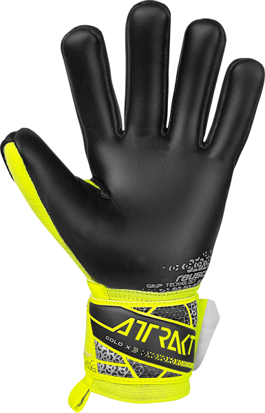 Reusch Attrakt Gold X NC Junior  5572955 2025 2025