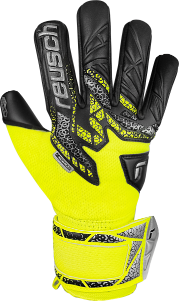 Reusch Attrakt Gold X NC Junior  5572955 2025 2025