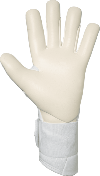 Reusch Raptor Pro 5660111 1103 white silver back.p