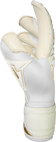 5670001_1130_s.png