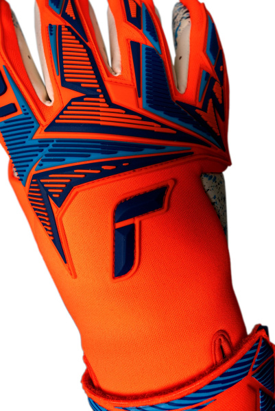 Reusch Attrakt Freegel Fusion 5670015 2290 blue or