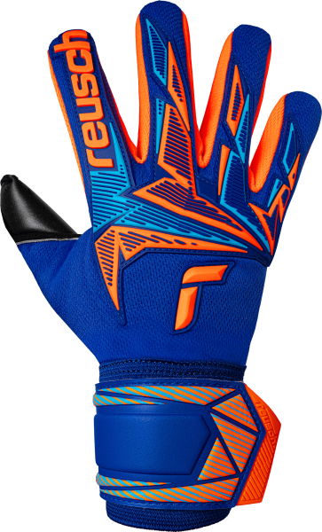 Reusch Attrakt Freegel Duo NC 5670025 4127 blue fr