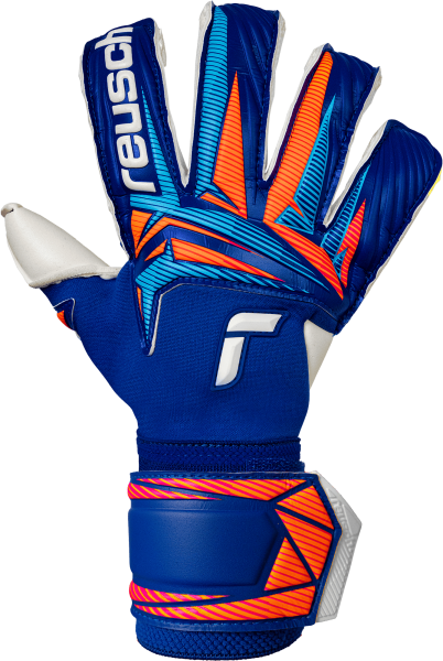 Reusch Attrakt Duo Evolution 5670055 4126 blue fro