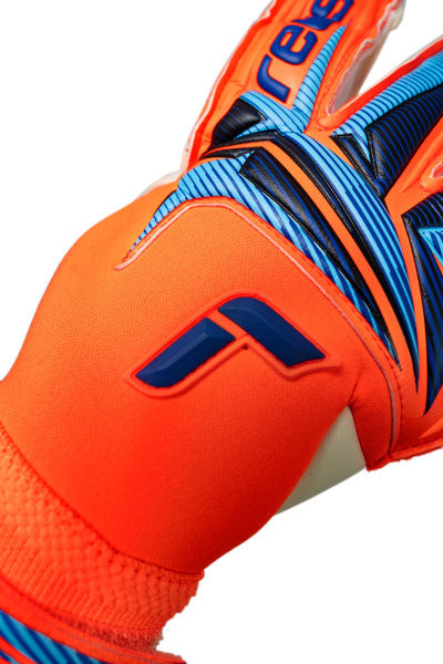 Reusch Attrakt Gold X Evolution 5670064 2290 blue 