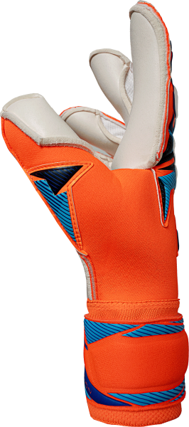 Reusch Attrakt Gold X Evolution 5670064 2290 blue 