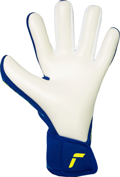 Reusch Fastgrip Advance 5670200 4994 blue back.jpg