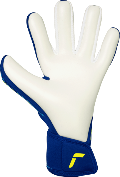 Reusch Fastgrip Advance 5670200 4994 blue back.png