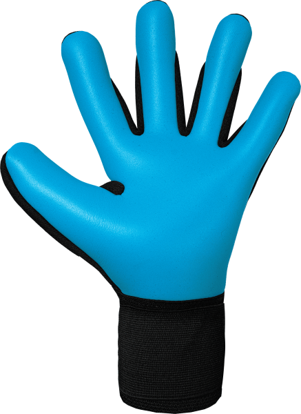 Reusch Attrakt Freegel Aqua 5670439 7126 black bac