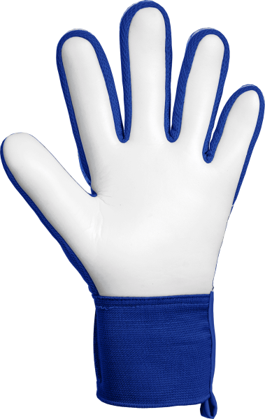 Reusch Attrakt Starter Solid 5670514 4126 blue bac