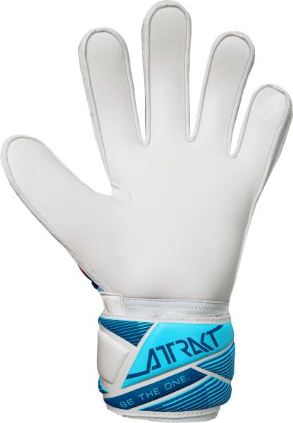 Reusch Attrakt Solid 5670515 1080 white back.png