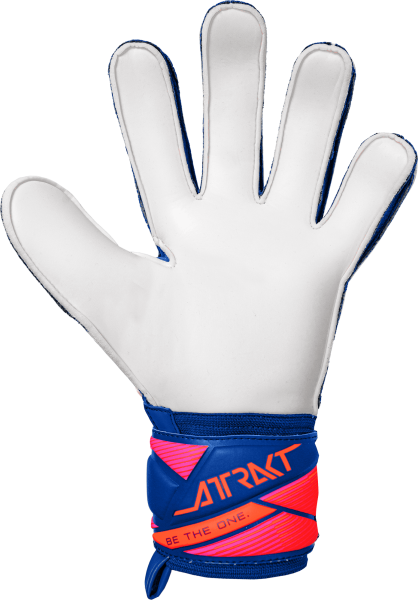 Reusch Attrakt Solid 5670515 4126 blue back.png