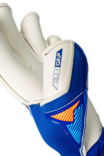 Reusch Attrakt Gold X Evolution 5670964 4126 blue 