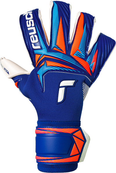 Reusch Attrakt Gold X Evolution 5670964 4126 blue 