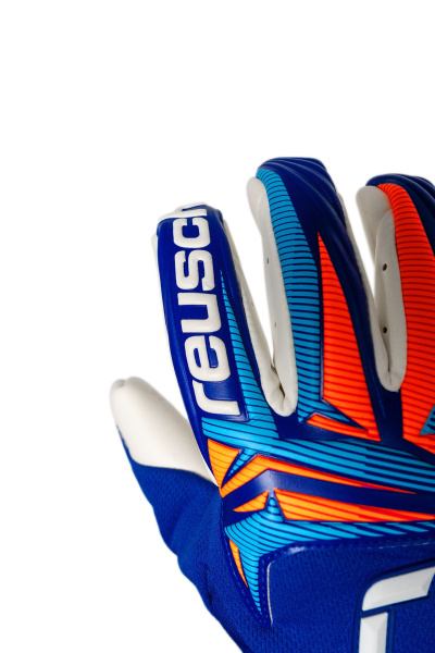 Reusch Attrakt Gold X Guardian 5670984 4126 blue 2