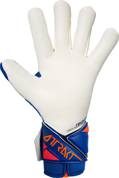 Reusch Attrakt Gold X Guardian 5670984 4126 blue b