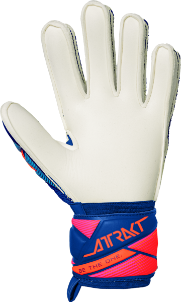 Reusch Attrakt Advance Junior 5672215 4126 blue ba