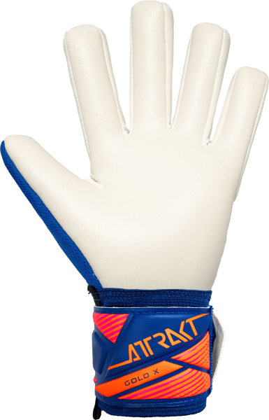 Reusch Attrakt Gold X NC Junior  5672955 4126 blue