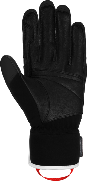 Reusch Pro RC 6201110 7745 black back.png