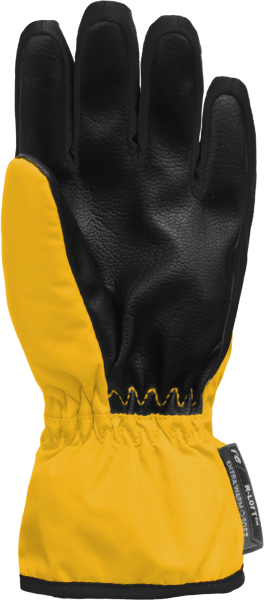 Reusch Ben 6285108 2505 black yellow back.png