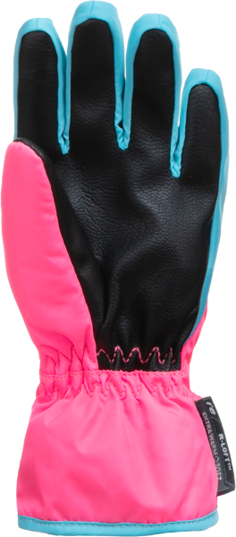 Reusch Ben 6285108 3305 blue pink back.png